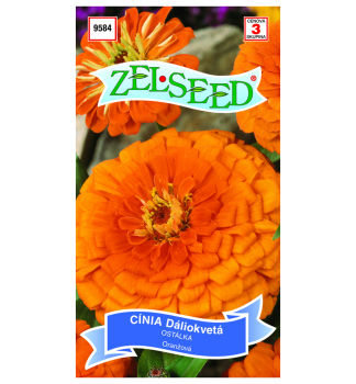 Samen - ZINNIE orange