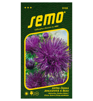 Samen - ASTERN �ELECTRIC� blau