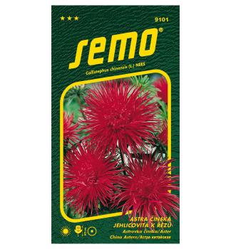 Samen - ASTERN 'ELECTRIC' rot