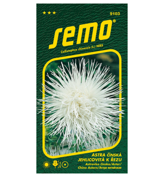 Samen - ASTERN 'ELECTRIC' wei�