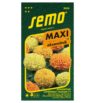 Samen -  Grossbl�tige TAGETES �TAISHAN� MAXI F1