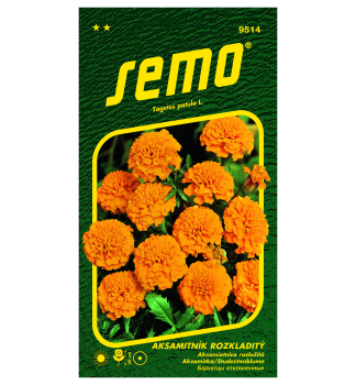 Samen - STUDENTENBLUME orange