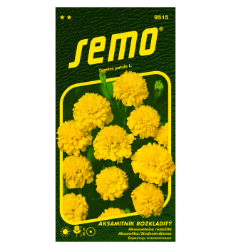 Samen - STUDENTENBLUME �PETIT� gelb