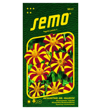 Samen - TAGETES �MR.MAJESTIC�