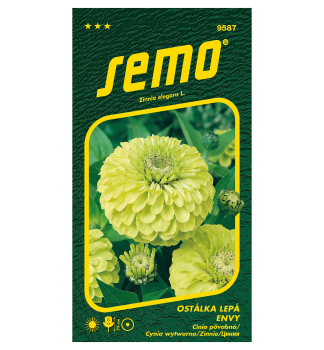 Samen - ZININIE 'ENVY' gr�n