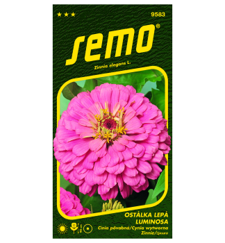 Samen - ZINNIE �LUMINOSA� rosa
