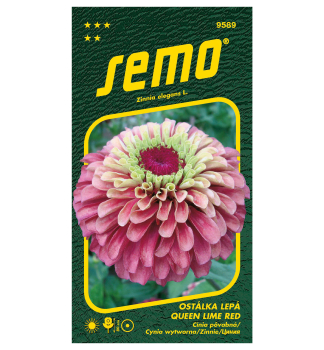 Samen - ZINNIE 'QUEEN LIME RED'