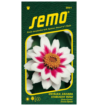 Samen - ZINNIE 'ZAHARA STARLIGHT ROSE'