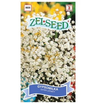 Samen - Polster-Schleierkraut