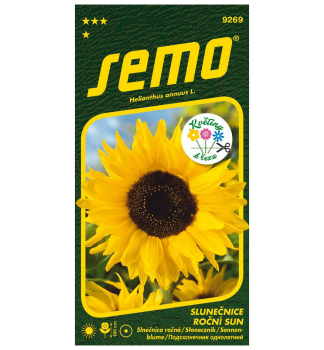 Samen - SONNENBLUME 'SUN'