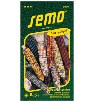 Samen - ZIERMAIS 'MULTICOLOR'