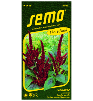 Samen � Amaranthus hypochondriacus �PYGMY TORCH�