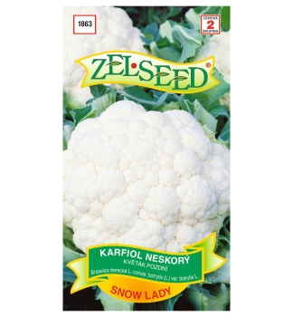 Samen - BLUMENKOHL �SNOW LADY�.