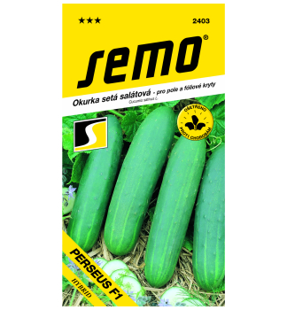 Semo SALATGURKE �PERSEUS� F1