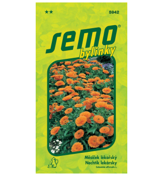 Semo Ringelblume �PLAMEN PLUS�