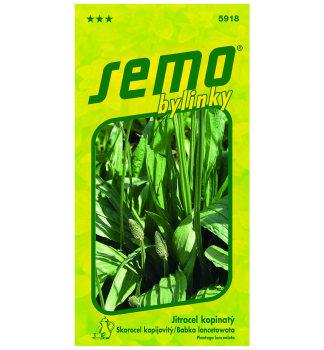 Samen - SPITZWEGERICH