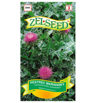 Samen � Mariendistel