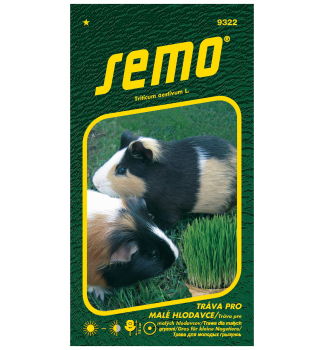 Samen - GRAS F�R KLEINE NAGETTE