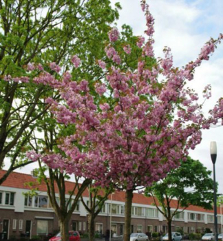 Obrzok (2)