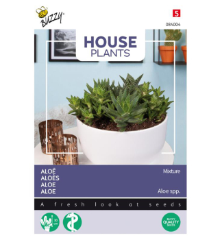 Samen - HOUSE ALOE VERA-Mischung