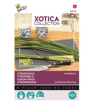 Samen - XOTICA ZITRONENGRAS