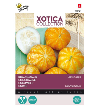 Samen - XOTICA Gurke Zitronenapfel.