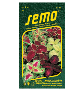 Samen - KOLEUS 'RAINBOW'