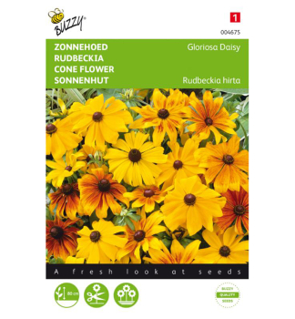Samen - SONNENHUT (Rudbeckia) 'GLORIOSA DAISY'