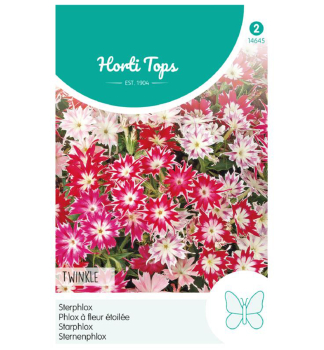 Samen - Sternenphlox TWINKLE Mischung