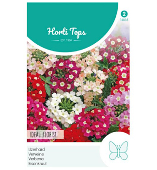 Samen - EISENKRAUT IDEAL FLORIST Mischung