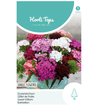 Samen - Bartnelke  �SWEET WILLIAM�