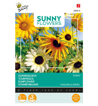 Samen - SONNENBLUME 'ESTHER'