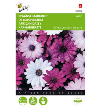 Samen - KAPMARGERITE 'AKILA' Mischung