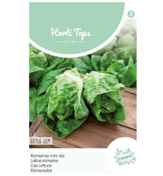 Samen - Rmersalat  LITTLE GEM