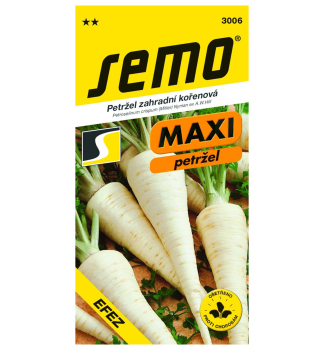 Samen - Petersilienwurzel 'EFEZ'