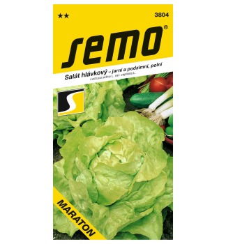 Samen - KOPFSALAT �MARATON�