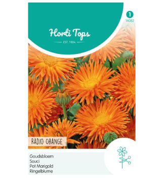 Samen - RINGELBLUME RADIO ORANGE