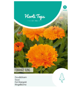 Samen - RINGELBLUME ORANGE KING