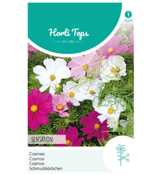 Samen - Schmuckk�rbchen 'SENSATION', Mischung