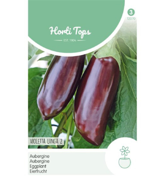Samen - EIERFRUCHT 'VIOLETTA LUNGA 2'