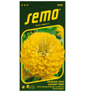 Samen -  ZINNIE 'CANARY BIRD'