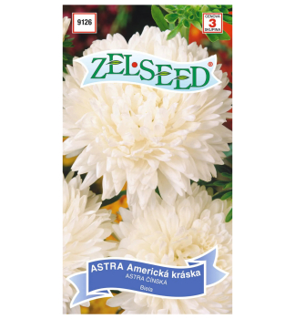 Samen -  SOMMER ASTERN - wei�