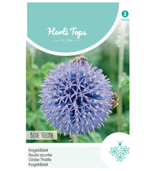 Samen - KUGELDISTEL BLUE GLOBE.