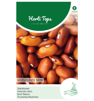 Samen - BOHNEN  BROWN DUTCH 25 g