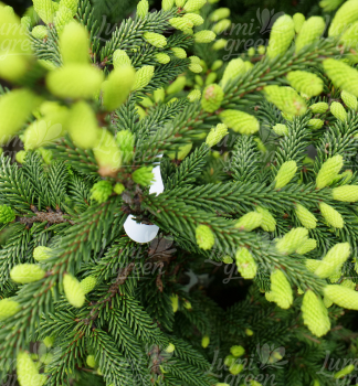 Obr�zok (6)