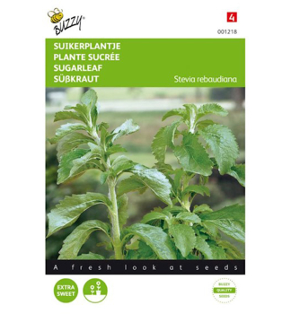 Samen - STEVIA-ZUCKER