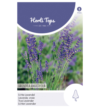 Samen - Echter Lavendel