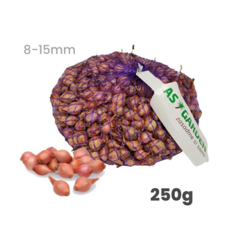 Steckzwiebeln 'ROSANNA' 8-15 mm, 250 g