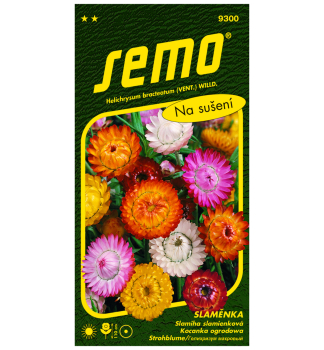 Samen - STROHBLUME