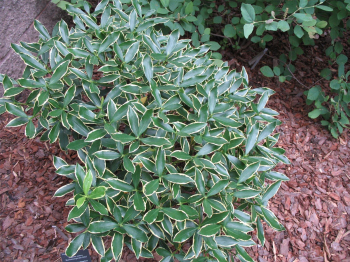 Obrzok (2)